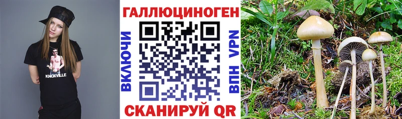 Галлюциногенные грибы мухоморы  Пересвет 